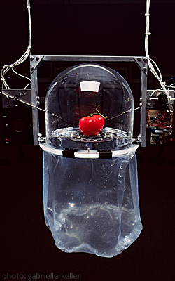 Acupuncture for Temporal Fruit